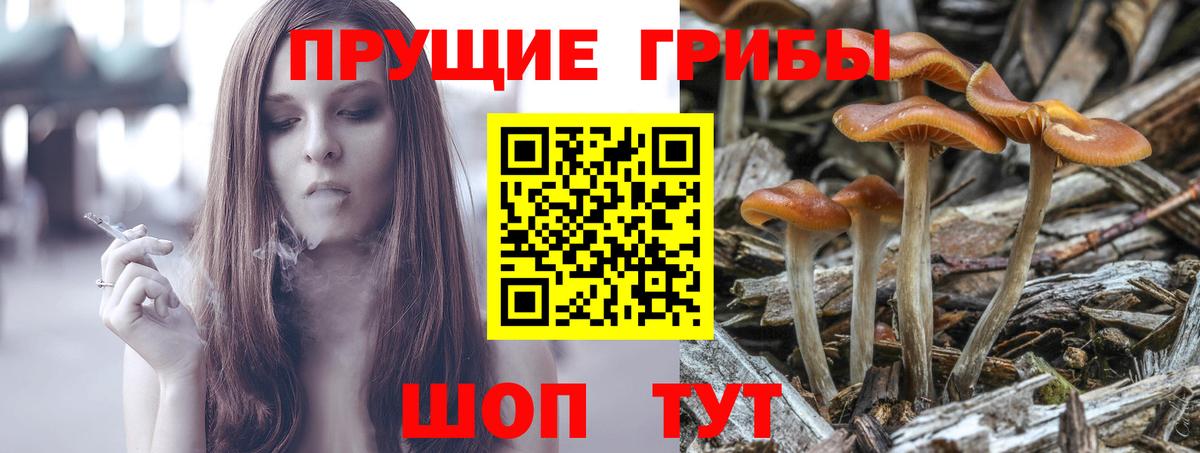 Псилоцибиновые грибы ЛСД Анапа