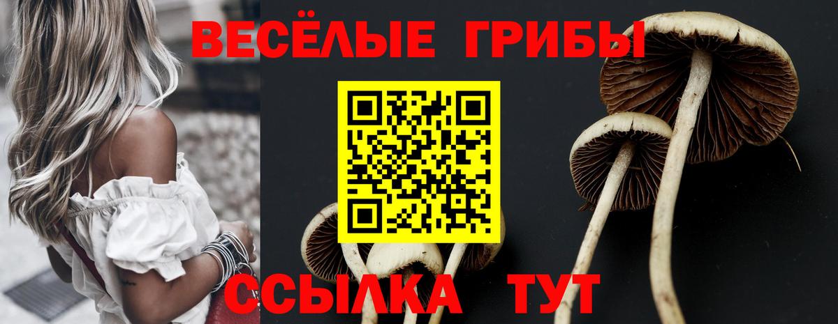 Галлюциногенные грибы MAGIC MUSHROOMS  Вход с VPN  Анапа 