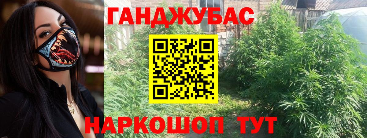 Бошки Шишки MAZAR Анапа